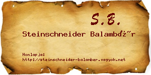 Steinschneider Balambér névjegykártya